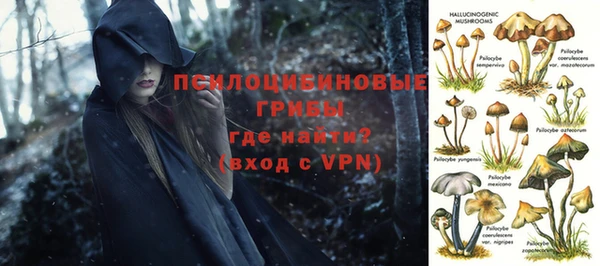 ALPHA-PVP Алексин
