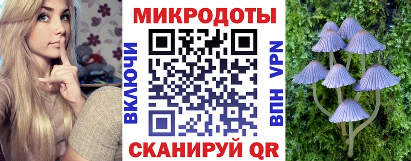 Псилоцибиновые грибы мицелий Геленджик